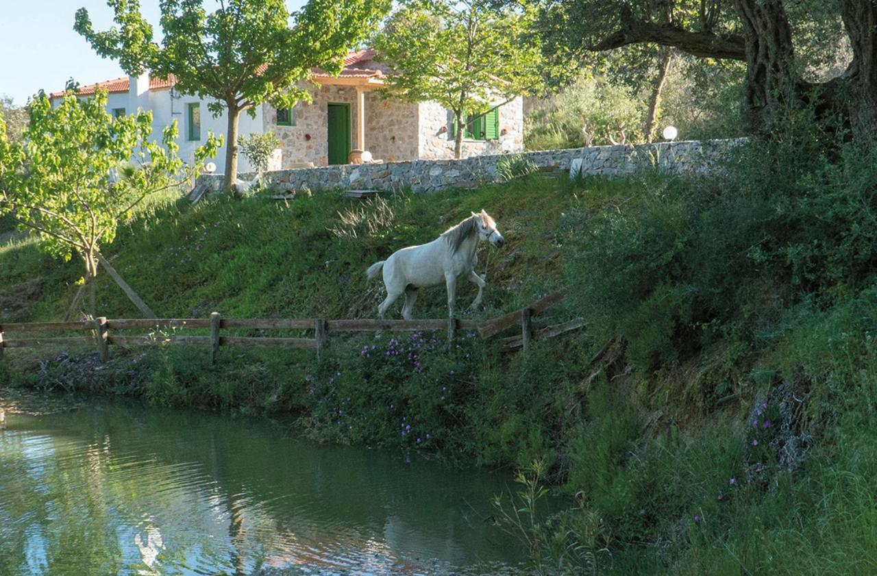 Villa Elia Lambiní Esterno foto